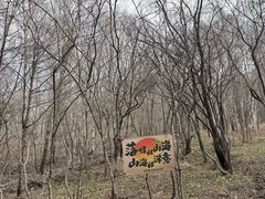 -帽儿山风景区