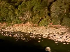 -岚山嵯峨野观光小火车