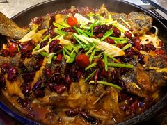 -老板恋上鱼(恒隆广场店)