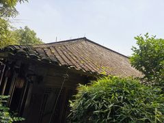 -杭州半山国家森林公园