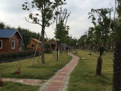 -金色田园农家乐餐厅