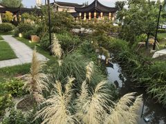 -东台西溪天仙缘景区
