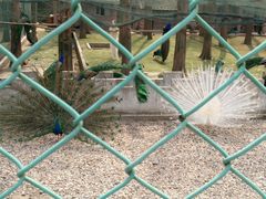 -南京金牛湖风景区