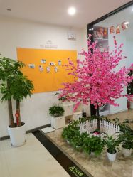 -佳宝全套房精品月子会所(大华店)