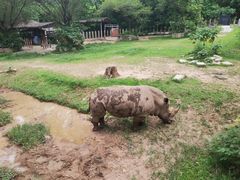 -深圳野生动物园