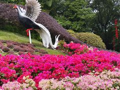 -广州市白云山风景名胜区