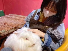 -猫色咖啡·猫咖