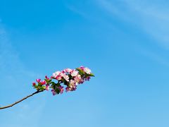 -海棠花溪(元大都城垣遗址公园)