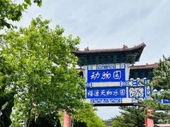 -西霞口神雕山野生动物世界