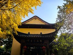 -郑和公园