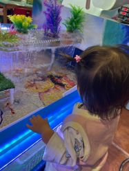 点击看大图 -卡通尼乐园(景枫中心店)