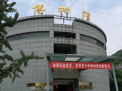 -金钉子远古世界景区