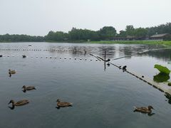 -郭守敬纪念馆