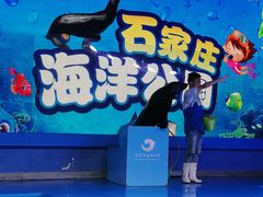 -石家庄海洋公园