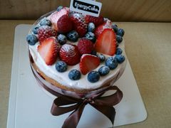 -EnergyCake蛋糕理想国