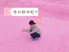 -大塘金香草谷