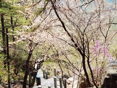 -崂山巨峰游览区