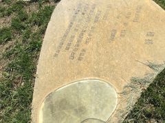 -武清南湖绿博园