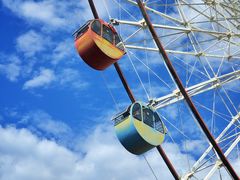 -济南野生动物世界