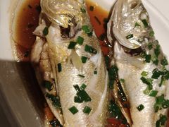 -渔人码头(中南店)