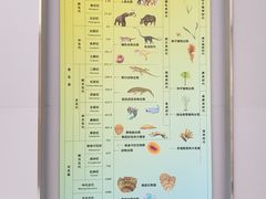 -中国地质大学逸夫博物馆