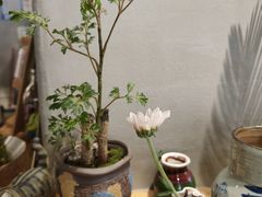 -Moment coffee莳光里咖啡