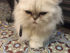 -广州迷途主题旅馆(海珠广场店)