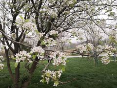 -盘龙城国家考古遗址公园