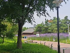 景点-莫子山公园