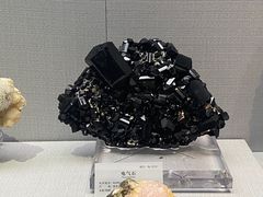 -湖南省地质博物馆