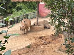 -泉州海丝野生动物世界