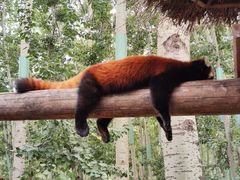 -北京野生动物园