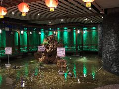 -古渡驛(丽彩·潮流港店)