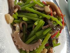 -南山酒肆(南山董事绘店)