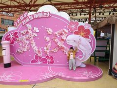 -海合安武汉极地海洋公园