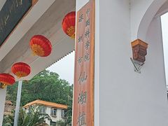 -深圳仙湖植物园