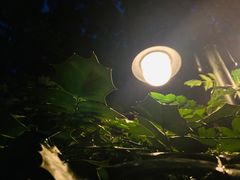 -上海怡沁园度假酒店