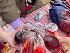 -杭州湾海上花田景区