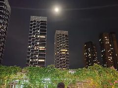 -润园四季椰子鸡火锅(海上世界店)