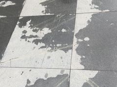 -萨莉亚意式餐厅(深圳北站店)