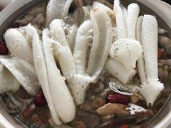 -江川野生菌火锅铜锅鱼(贵清火锅店)