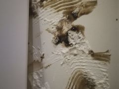 -卡漫莫尼蛋糕(私人定制店)