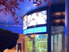 -1718海鲜姿造(苏宁宴请臻选店)