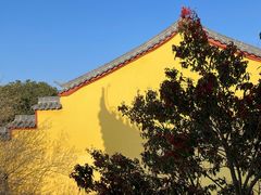 -冶父山国家森林公园