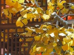 -徽镇小厨·经典徽菜(十里河店)
