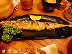 -浪花亭日本料理(古田路店)