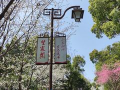 -杭州半山国家森林公园