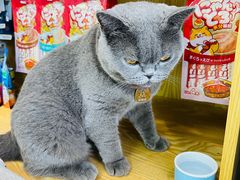 -中农大我爱我爱动物医院·核磁CT·猫病·24小时夜诊中心(石佛营店)