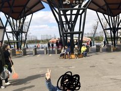 -上海长兴岛郊野公园