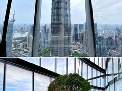 -上海中心大厦